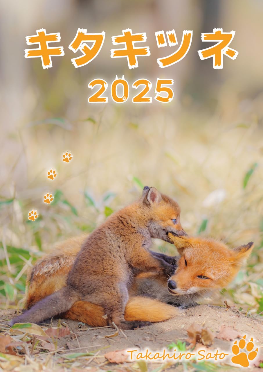 Amazon | 『キタキツネ』カレンダー (2025年 壁掛けA3) | カレンダー