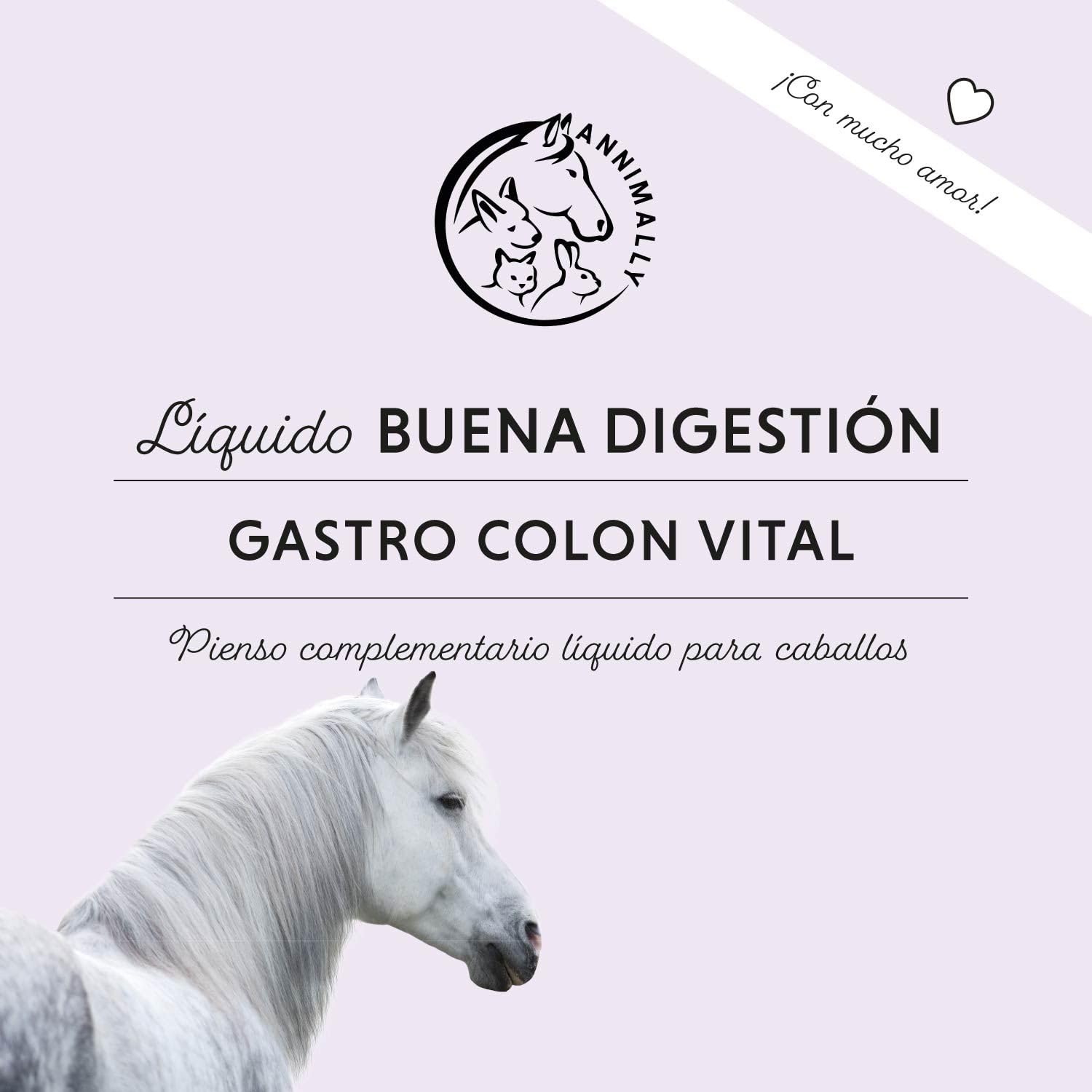 Líquido gastrointestinal para Caballos 1000 ml - Gastro Colon Vital para apoyar la digestión, por Ejemplo en Caso de diarrea - Hierbas Naturales para el estómago de los Caballos.