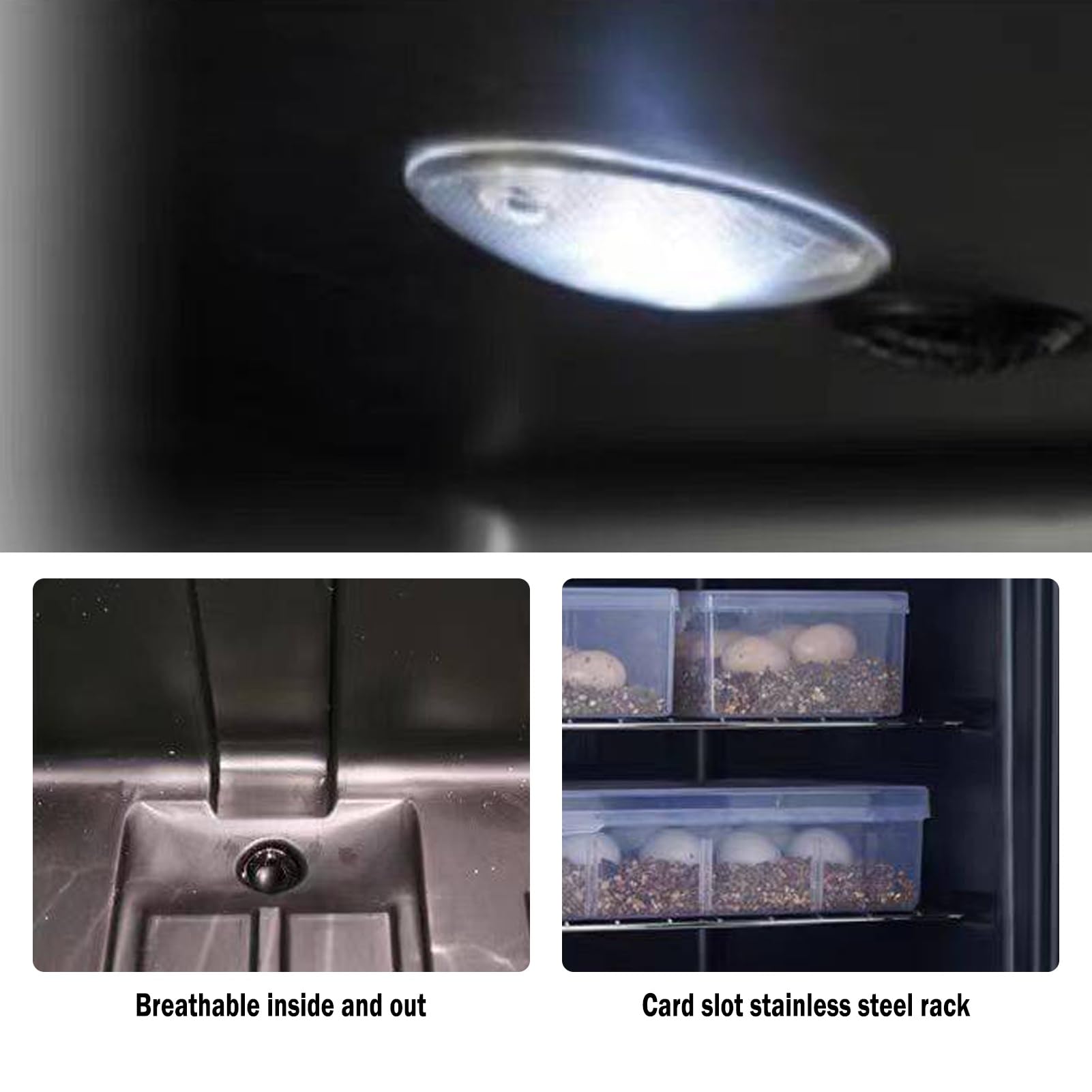 Reptilien-Inkubator, 25 L, Digitaler Eier-Inkubator Mit Präziser Temperaturregelung (10–40 ℃), Leiser Betrieb, Doppelschichtige Glastür(23L)