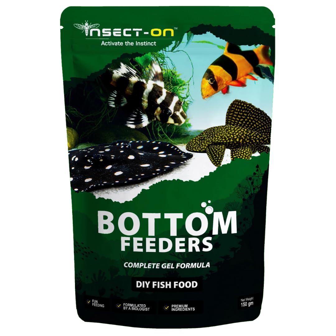 Ynsect-On India’s First Gel Based Food for Bottom Feeding Fishes - 150 g | Complete DIY Gel Diet for Fresh & Fun Feeding | Natural Bugs & Insect Based Formula for Boosted Growth & Immunity (B0CKF5K6LQ) Amazon Price History, Amazon Price Tracker