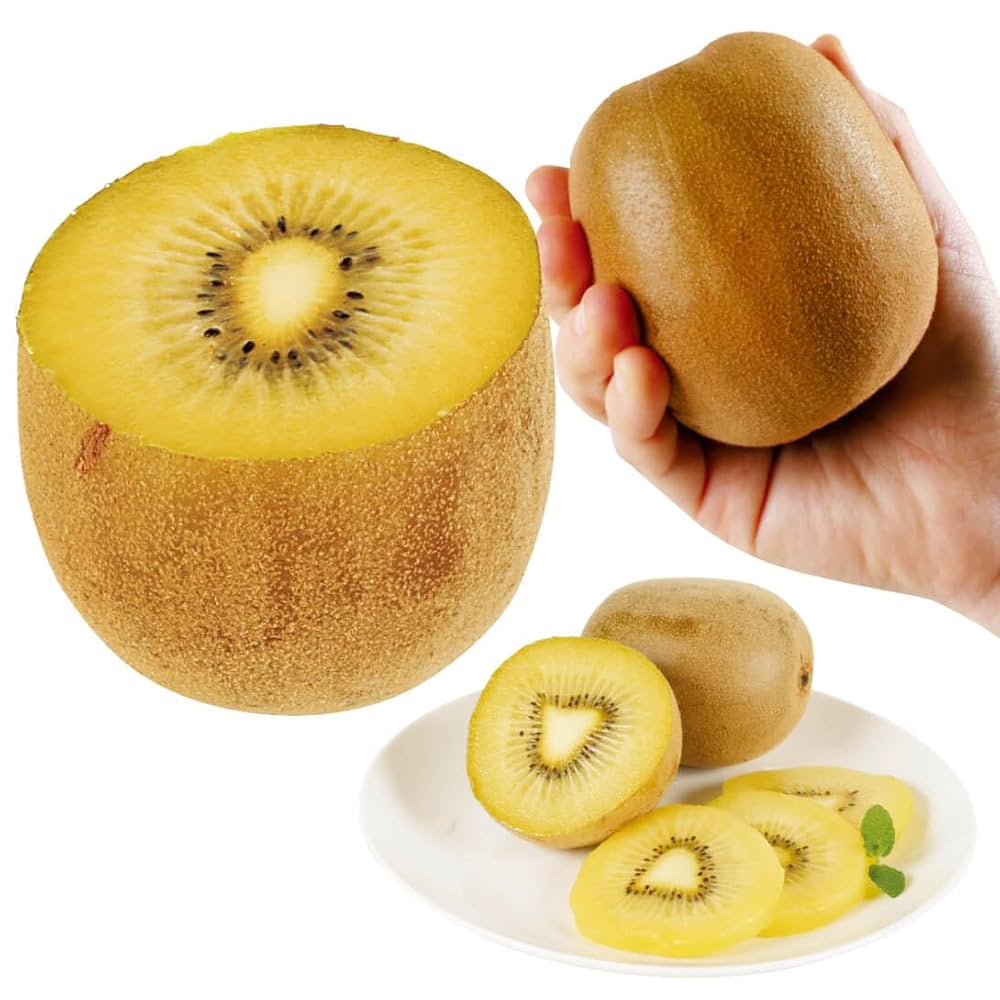 ジャンボイエローキウイ雌苗木 キウイ 黄色系メス ジャンボイエロー 苗 おすすめ 苗木部 By 花