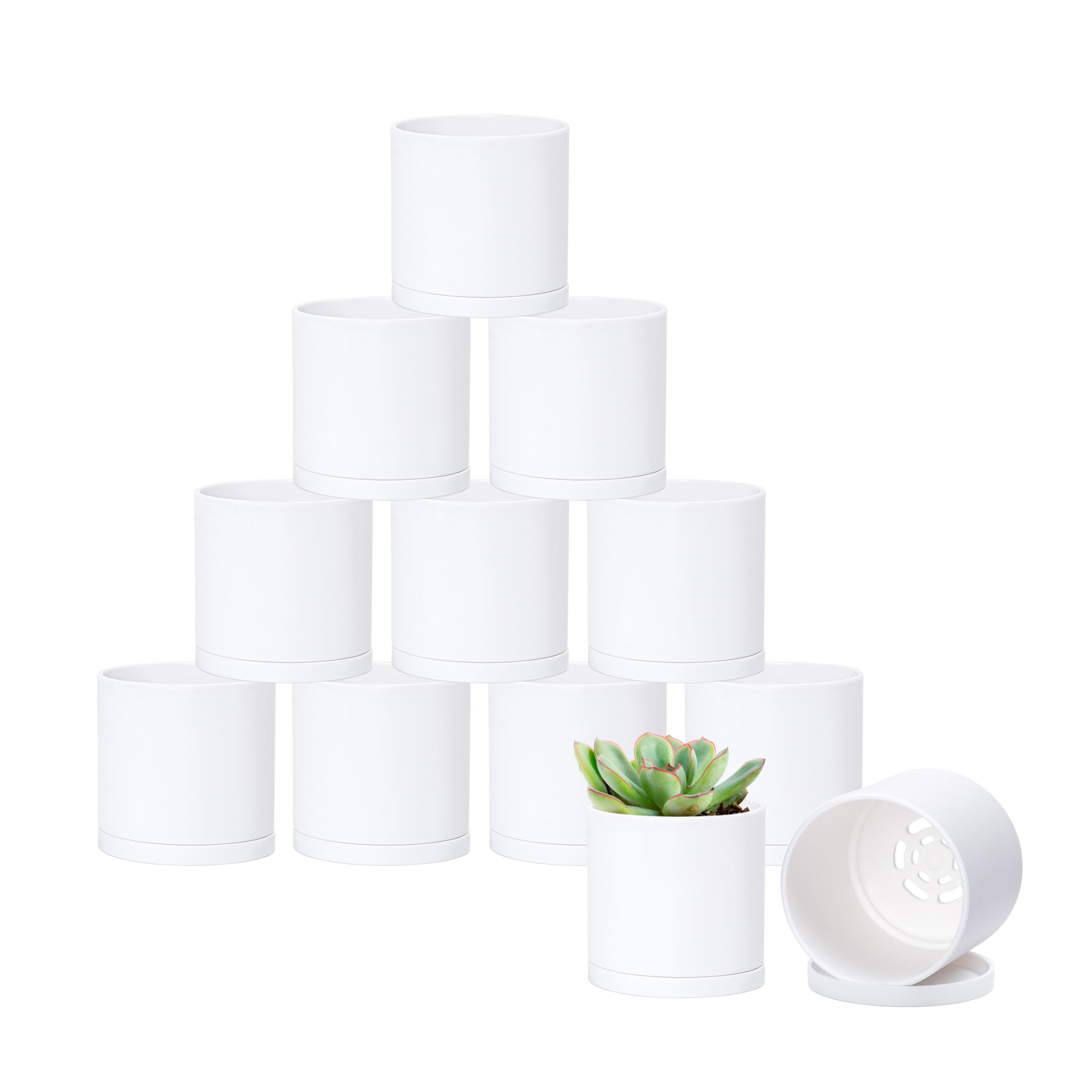 Amazon.com : D'vine Dev 12 Pack 3 Inch Mini Plastic Plant Pots