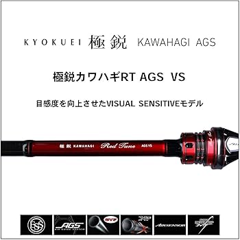 Amazon | ダイワ(DAIWA) 船竿 極鋭カワハギRT AGS VS 釣り竿