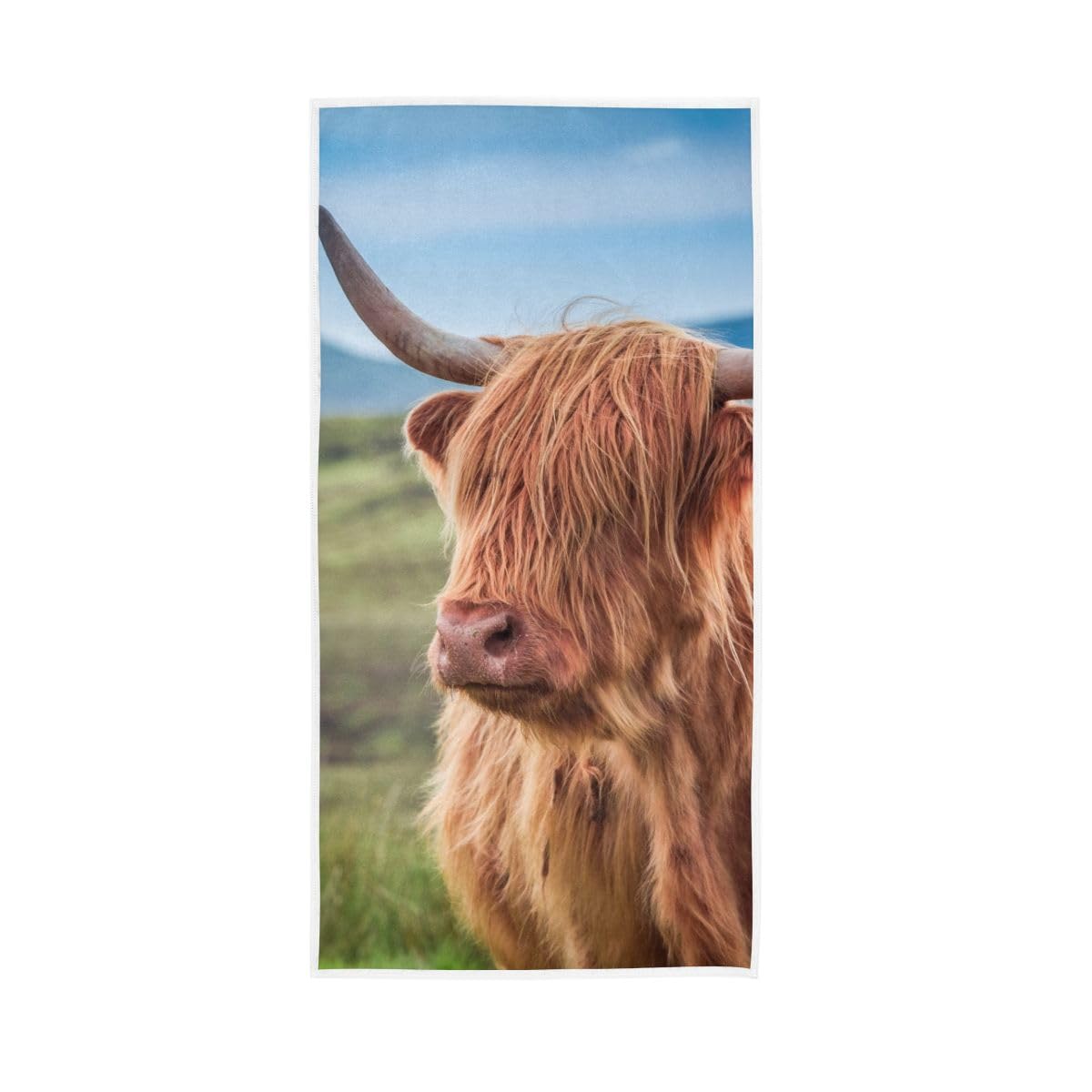 LSRCPD Scottish Highlander Cow Hand Towels, 15 x 30 Inches, Soft Highly Absorbent Towels for Bathroom Gym Shower