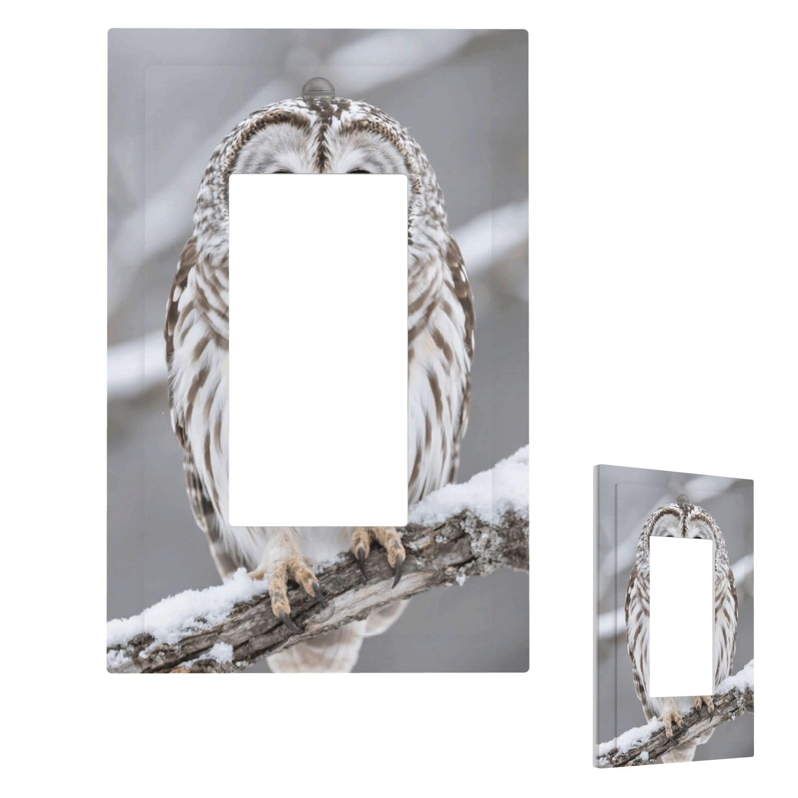 Curious Barred Owl Closeup Wall Plate Cover Modern Decorative 1 Gang Light Switch Cover Unbreakable Receptacle Outlet Covers For Living Room Bedroom Home Decor 1 Gang
