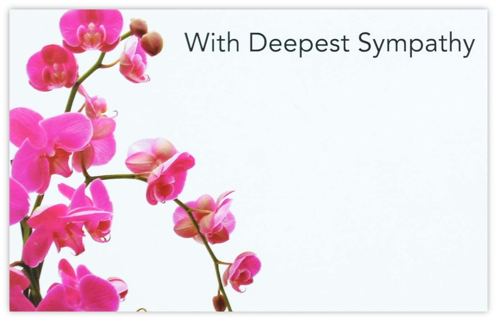 celloexpress Deepest Sympathy (Pink Orchid White Background) Flower Message Cards - 60mm x 90mm - Bereavement Florist Card Sympathy Condolences Notes (Pack of 100) โ image 1