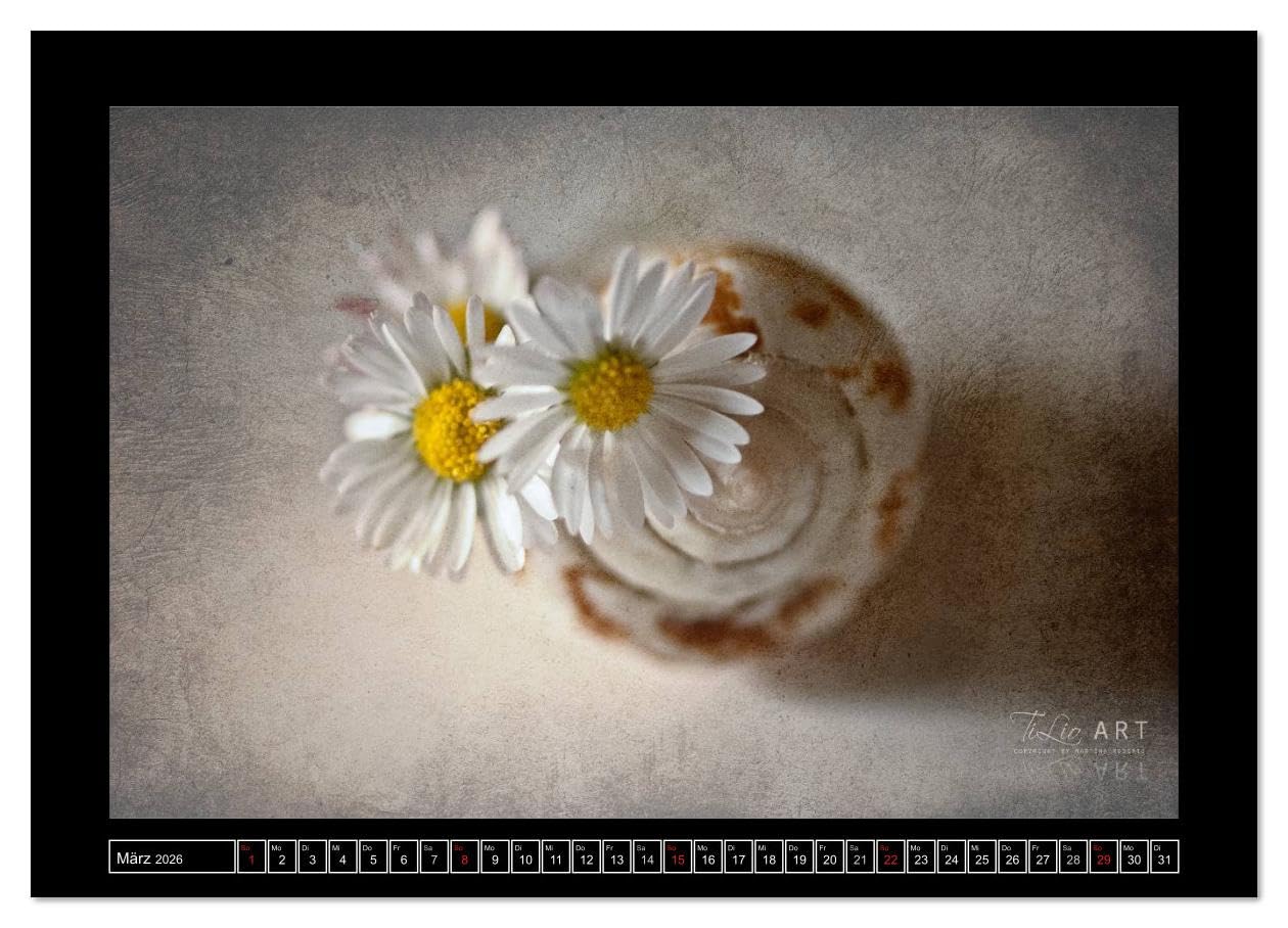 Stillleben (Wandkalender 2026 DIN A2 quer), CALVENDO Monatskalender: Spiel mit Texturen und diversen Pinseln (CALVENDO Kunst)