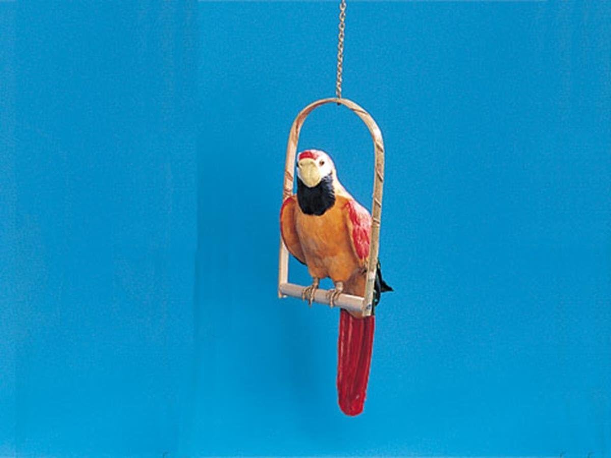 StealStreet CK142A Parrot Collectible Bird Figurine