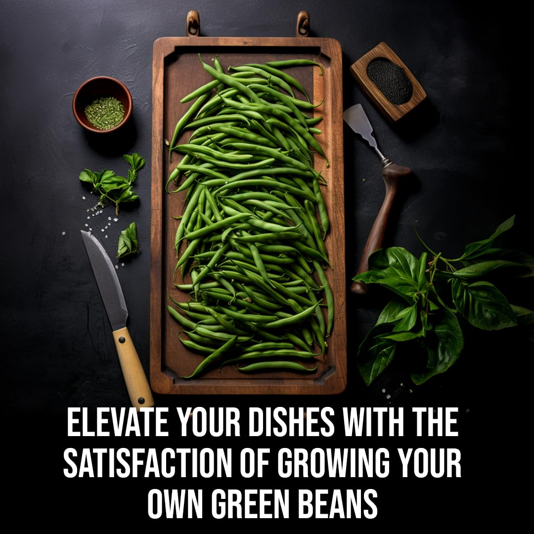 SATTVAMRIT Sattvishtik Grow Box Beans Vegetable Kit for Kids | Pack of 1 | Eco Friendly Gift for Kids | Beginner Gardeners | DIY | Easy Grow it Yourself Gardening Kit for Home & Garden 3