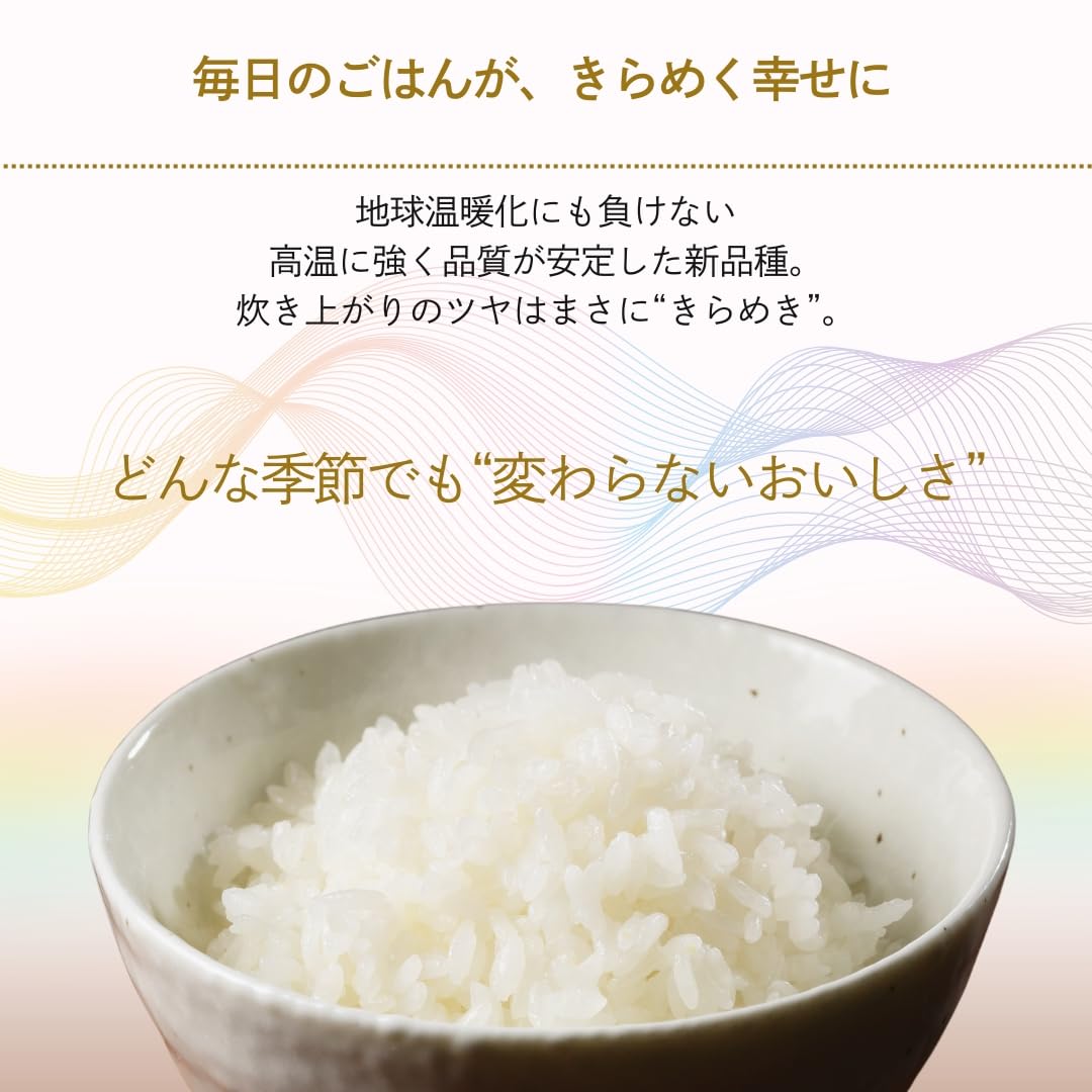 Amazon.co.jp: 米 にじのきらめき 20kg 5kg×4袋 福井県産 白米 令和7