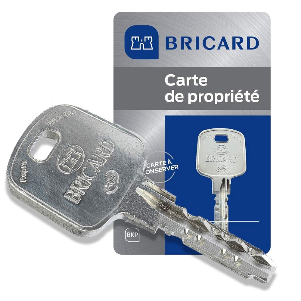 Bricard 18002 Cylindre de serrure double entrée Serial Xp 30+40 Nickelé
