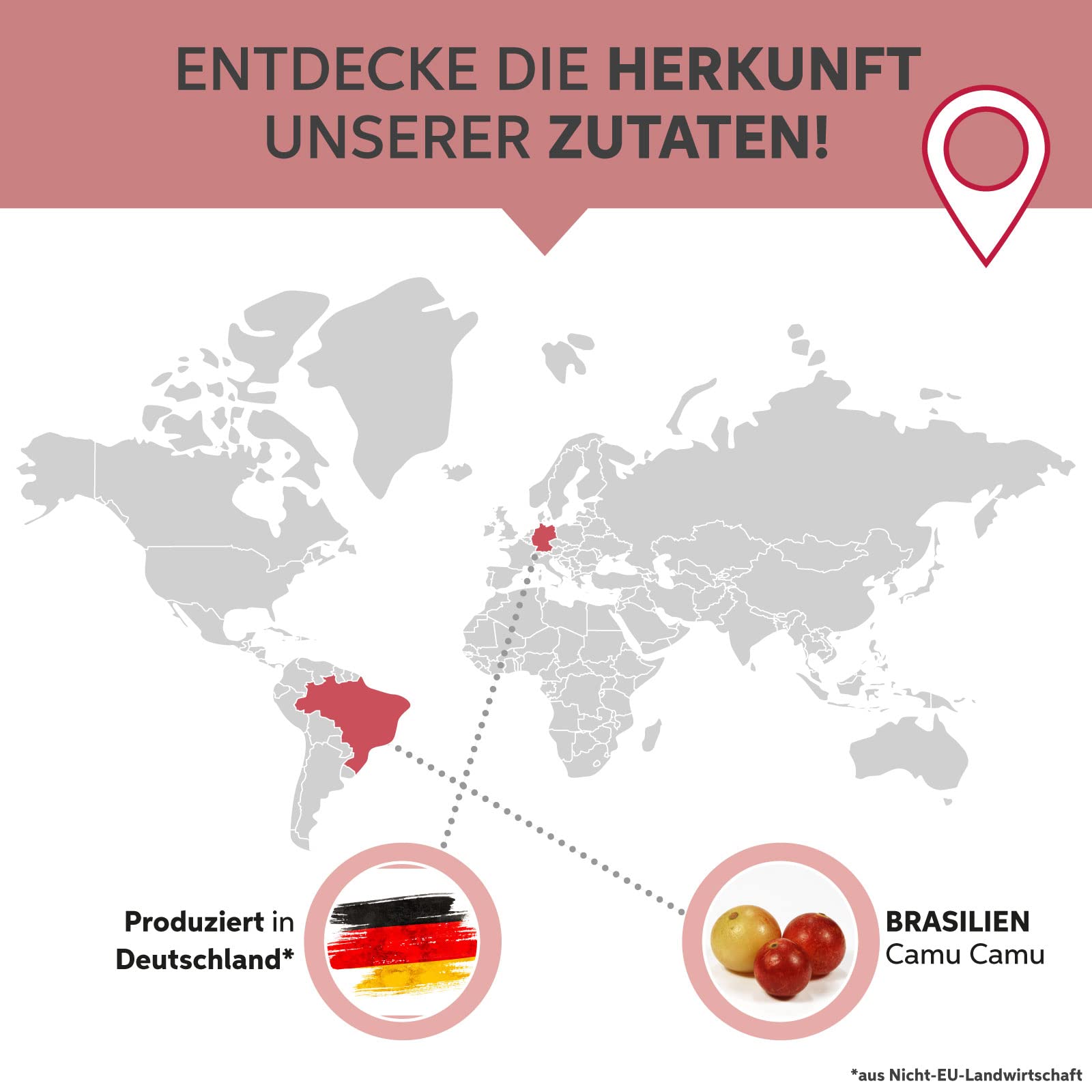 Camu Camu Pulver 1kg hochdosiert mit natürlichem Vitamin C aus Brasilien | 100% ohne Zusatzstoffe in Rohkost-Qualität