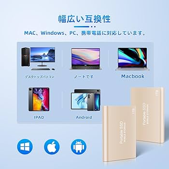 PDリクエスト 1点 まとめ商品 Amazon | 【Amazon.co.jp 限定出品】Lulizzie SSD 外付け SSD