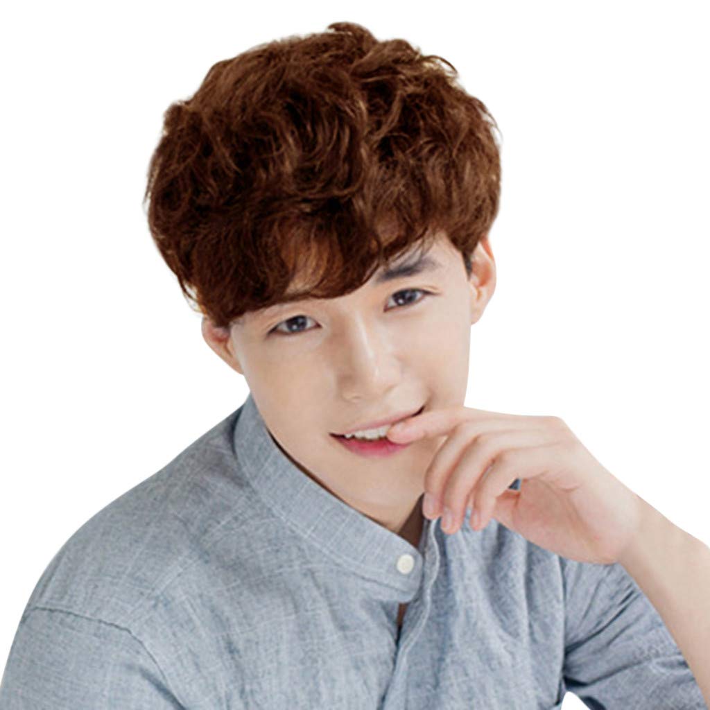 for Wig Men Wig Black Male Wigs Brown Synthetic Man Short wig Black Men Wigs Human