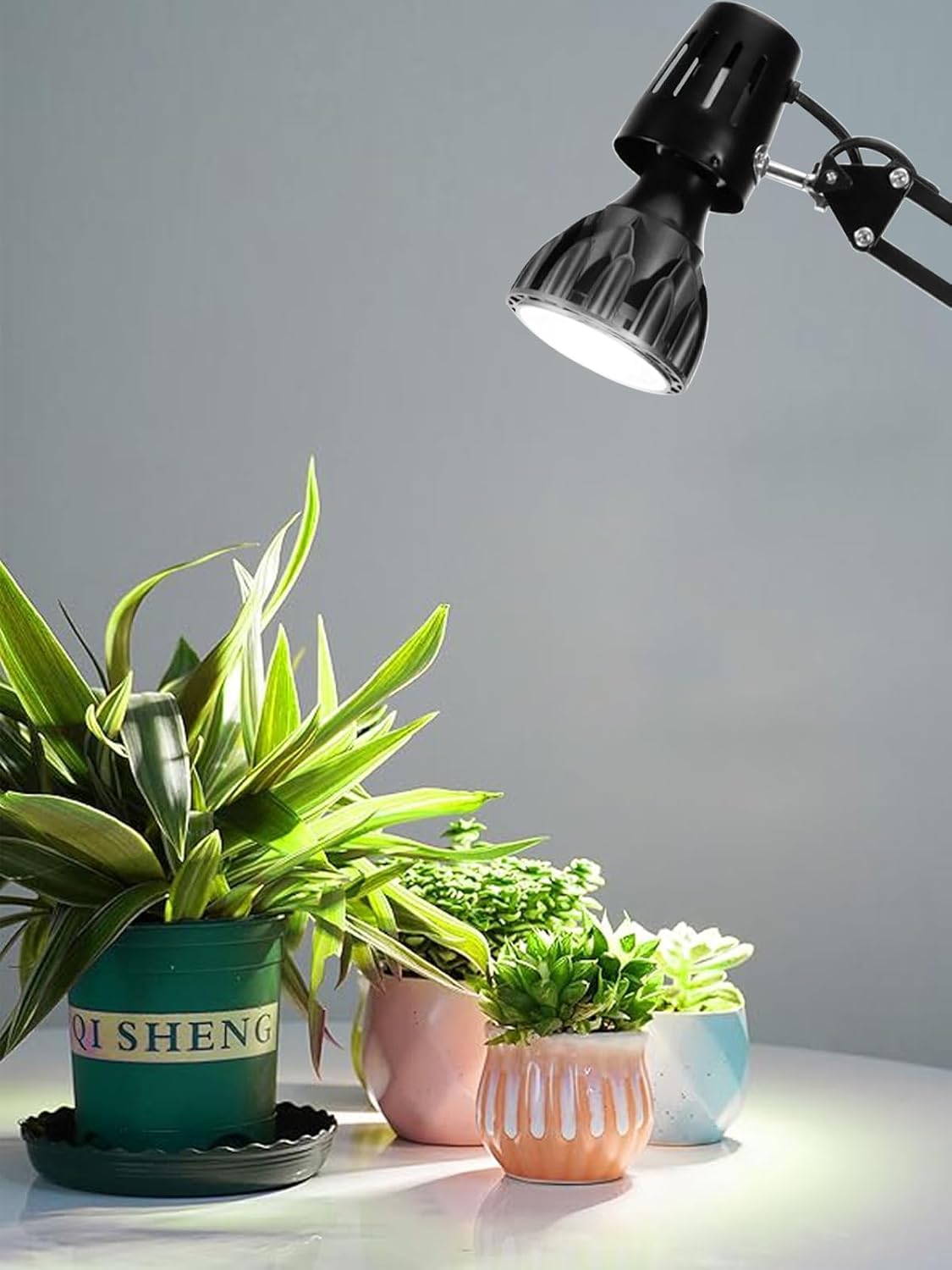 Milpoel LED Pflanzenlampe Vollspektrum E27 für Zimmerpflanzen, Grow Light, Gewächshaus, Garten (Schwarz, 30W 4000K)