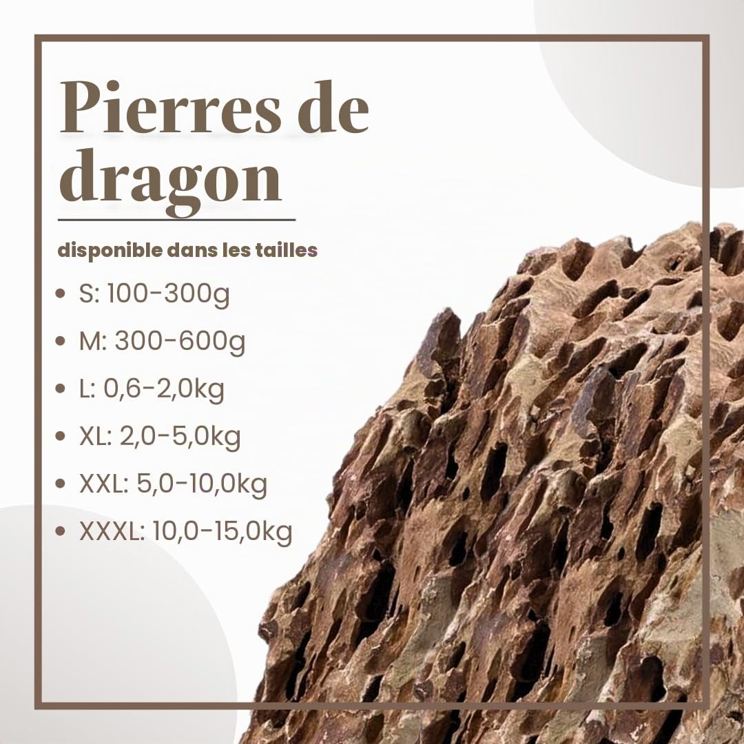 AquaOne Lot de 10 kg de pierres naturelles pour aquarium - Mélange de pierres naturelles - Taille S à XL - Pierre d'aquascaping - Décoration de roche - Fond marron