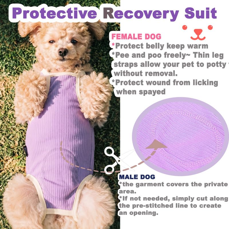 Image of Dog Recovery Suit Dogs Onesie for Surgery Protective Post-Surgery Suit Female for Small Dogs & Puppy Purple Size L