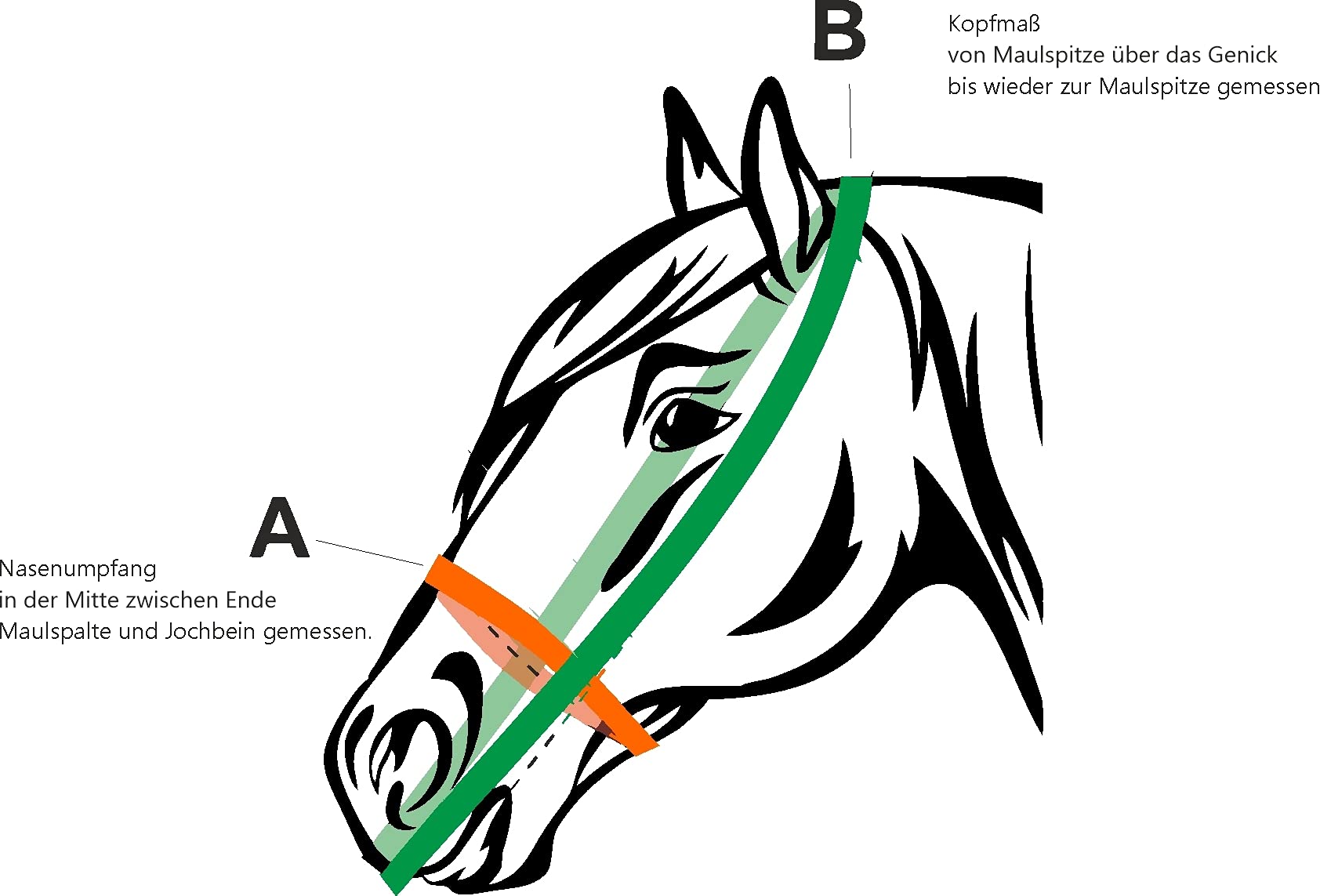 Fressbremse Strong Schwere Warmblüter und Kaltblüter mit Kehlriemen und Standartbodenplatte