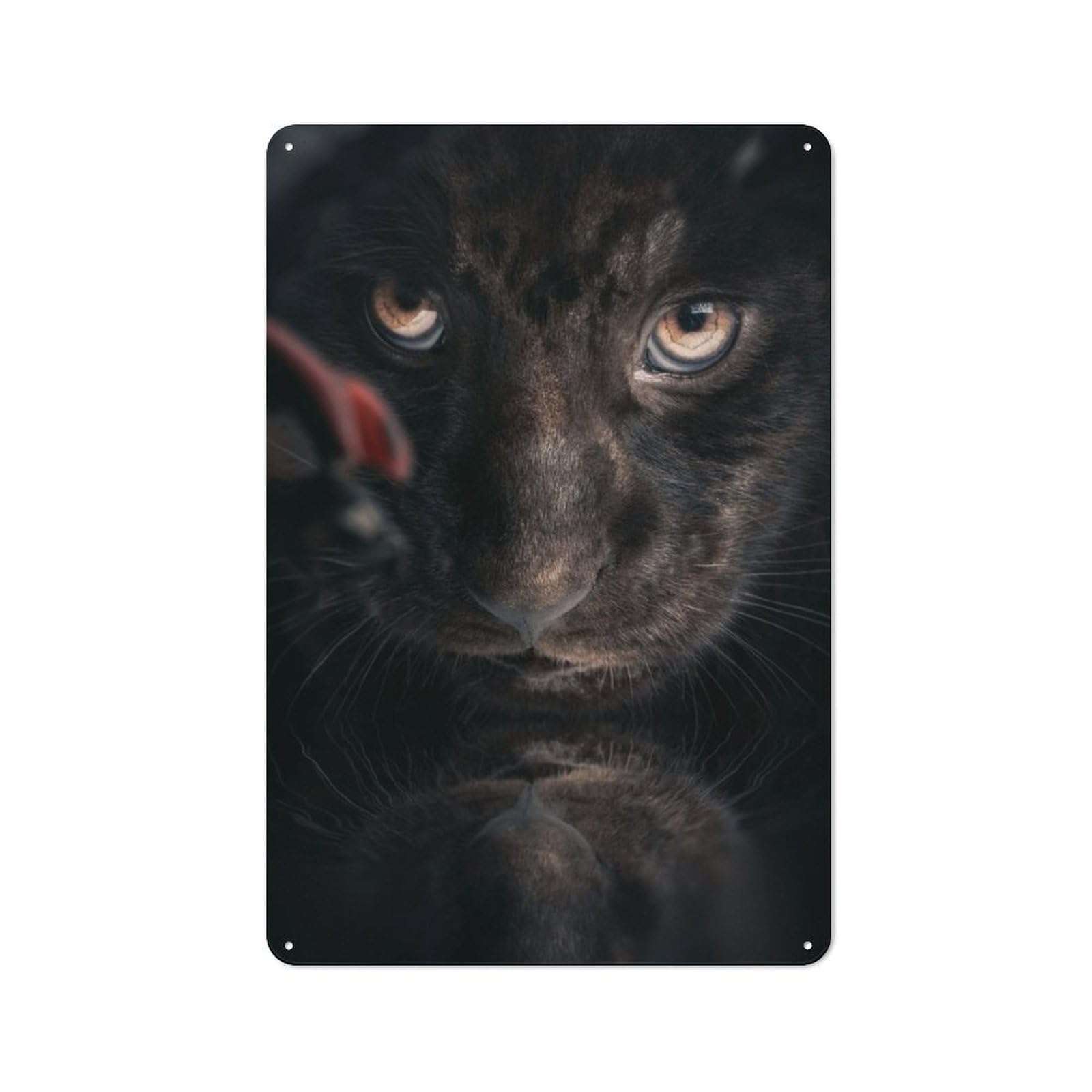 Junmoney Black Jaguar Cub Metal Plaque 30X20cm With For Garage Wall, Retro Decor, For Garage Decor Collectors Refreshing A Room In Autumn