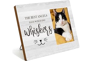Personalized Picture Frame: Cherished Memories for Cat Lovers
