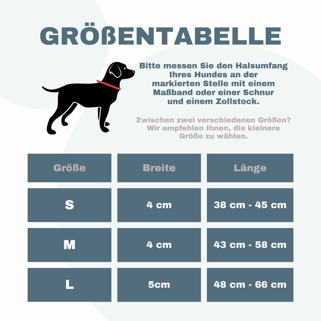 Premium Hundehalsband - mit Magnetgriff, Leuchtstreifen, Air-Tag Tasche, individuell einstellbar, weiche Polsterung, robuste Schnalle, mit passender Leine erhältlich, JETZT NOCH Leichter(L)