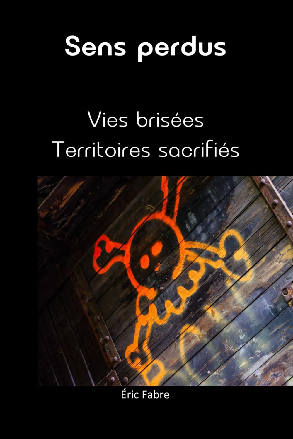 Sens perdus: Vies brisées - Territoires sacrifiés: 2 (Enquête de sens)