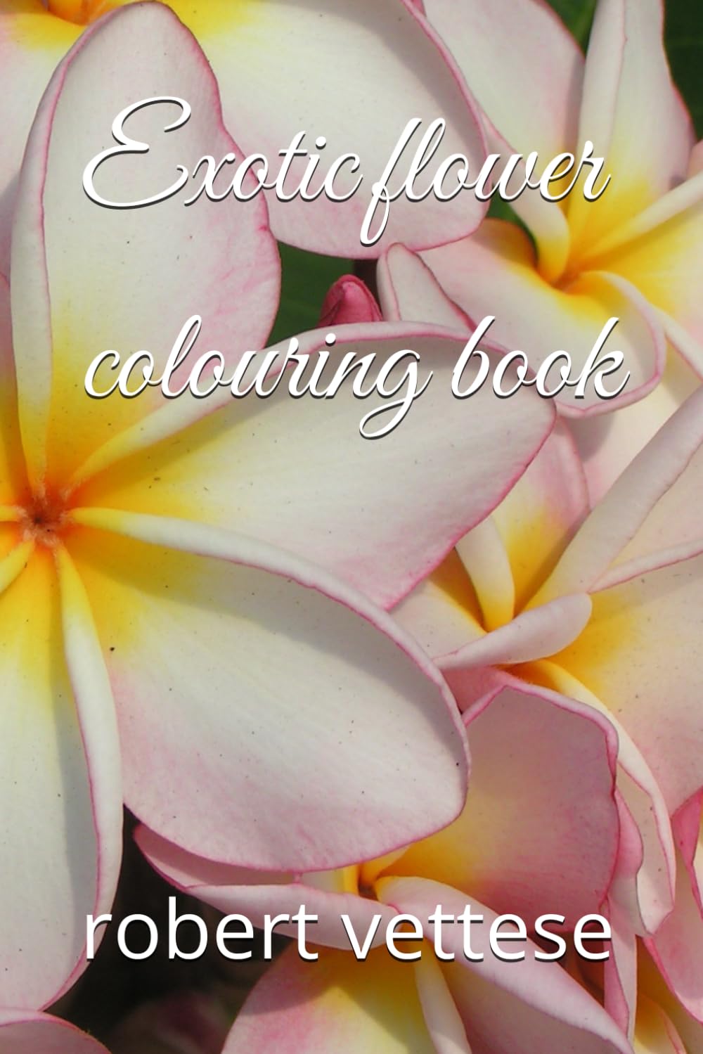 Exotic flower colouring book