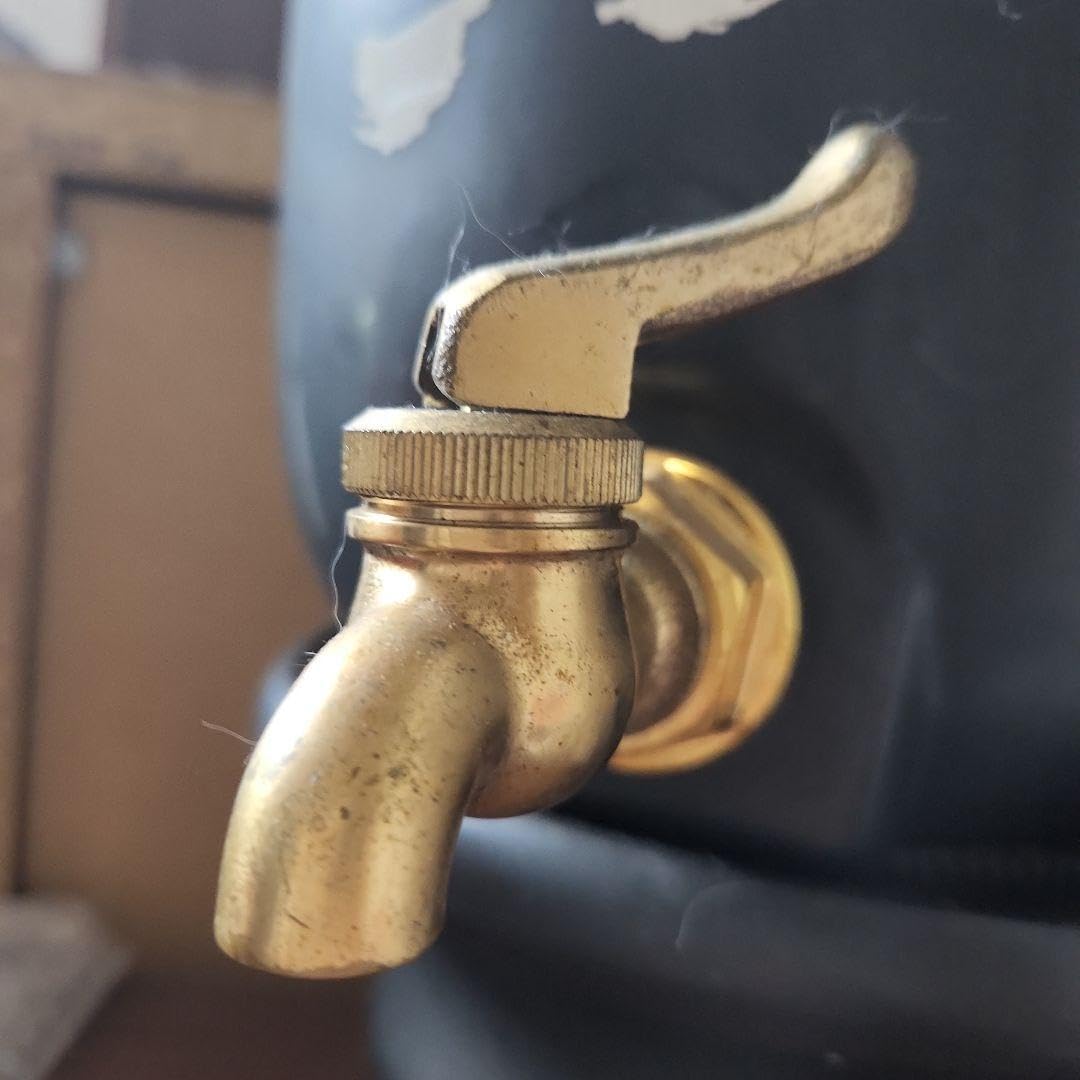 Amazon.co.jp: 黒伊佐錦サーバー : おもちゃ 