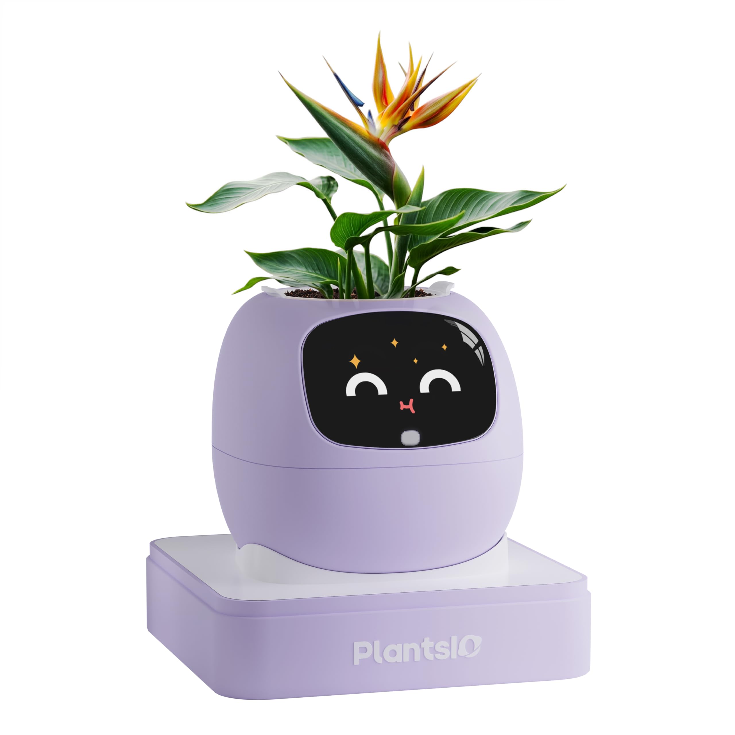 PLANTSIO Ivy Maceta Inteligente Decorativa hogar, compañero robótico, Cuidado Plantas, decoración Escritorio ordenada, Regalo Bonito, Maceta Inteligente para Mascotas (Violeta)