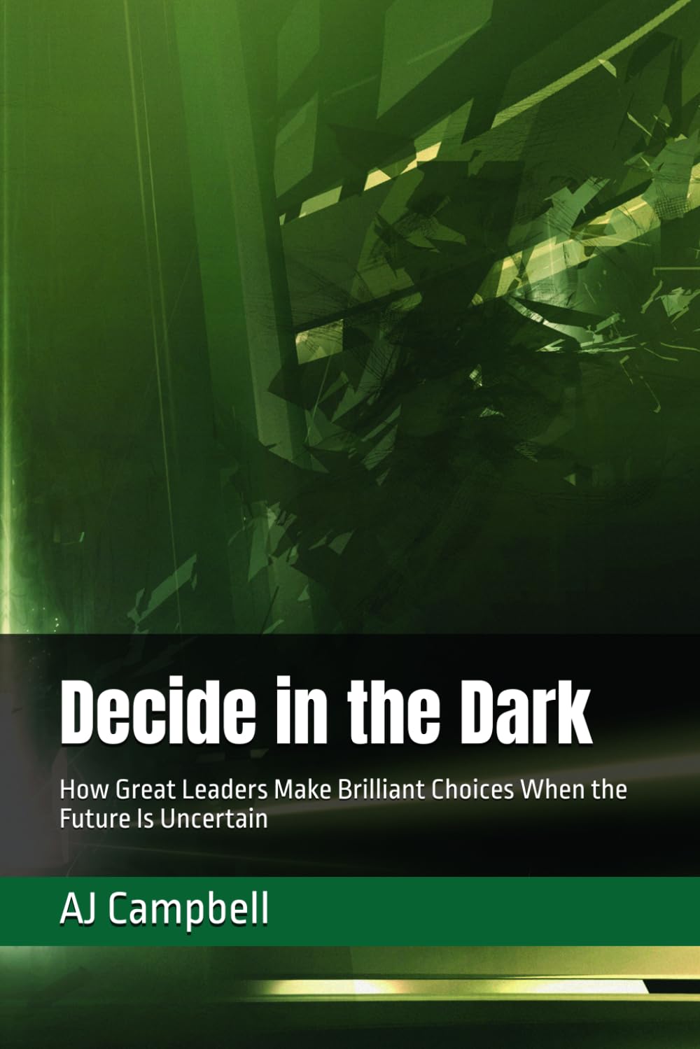 Decide in the Dark: How Great Leaders Make Brilliant Choices When the Future Is Uncertain