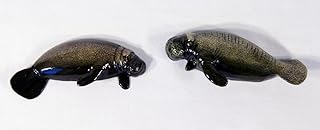 Handpainted Manatee Sea Cow Magnet Assorted (Set of 2)
