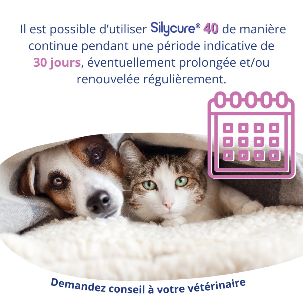 SYLICURE 40 mg - ANIDEV 150 comprimés