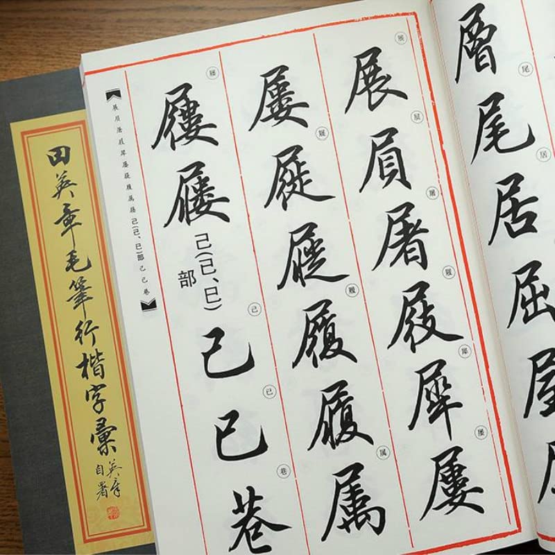 Cuaderno Mágico de Prácticas de Caligrafía, Chinese Brush Copybook Chinese Calligraphy Copybook Running Script Chinese Character Practice Copy Book(C)