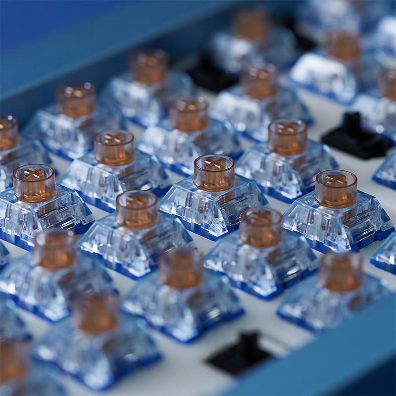 Amazon.com: KAILH Hush Deep Sea Switch Pro RGB SMD Mechanical