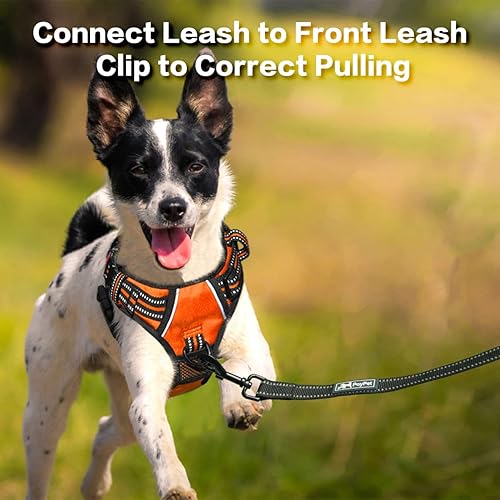 Miniatura 5 de PoyPet Arnés para perro sin tirones, chaleco reflectante con clip frontal sin estrangulamiento, mango vertical acolchado suave, 3 accesorios para