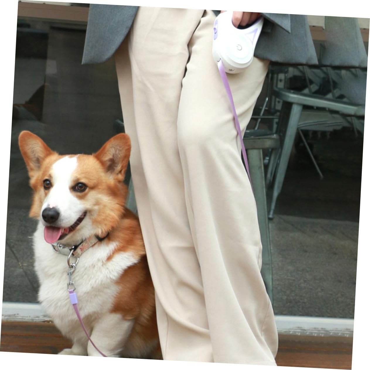 Abaodam Correa Retráctil Automática para Perros Correa Extensible para Pasear Perros Cuerda Resistente para Mascotas Al Aire