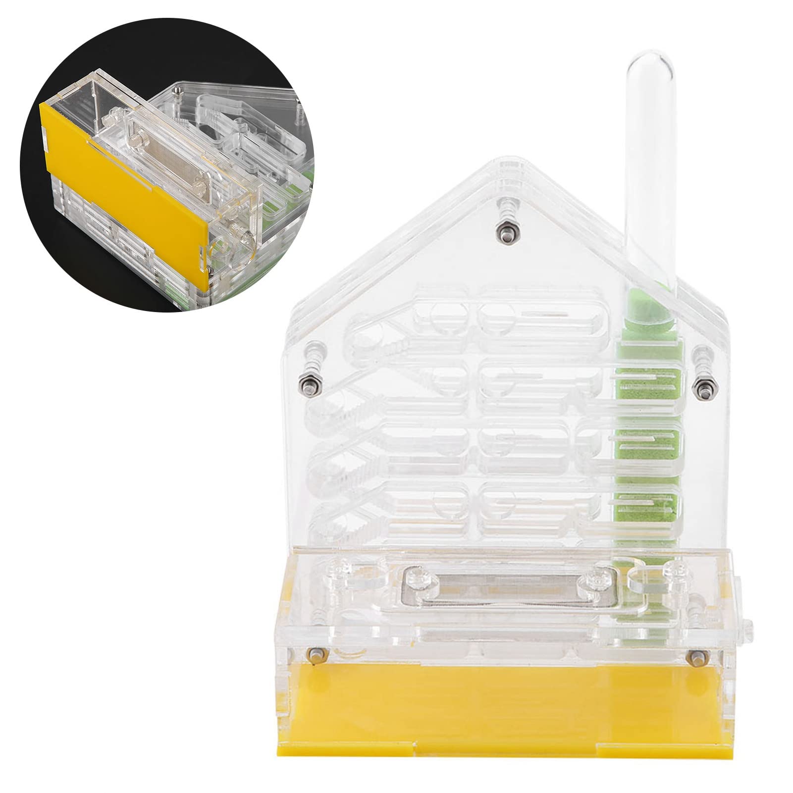 Formicarium Nourriture pour Fourmis 12×11×8 Acrylic Farm The Farm is Alive