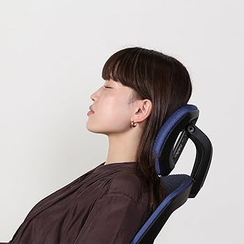 Amazon.co.jp: 不二貿易 メッシュリクライニングチェア スリープ
