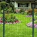 Green PVC Coated Welded Wire Mesh Garden Economy Fence 24 Inch x 50 Foot-3 Inch x 2 Inch 16GA
