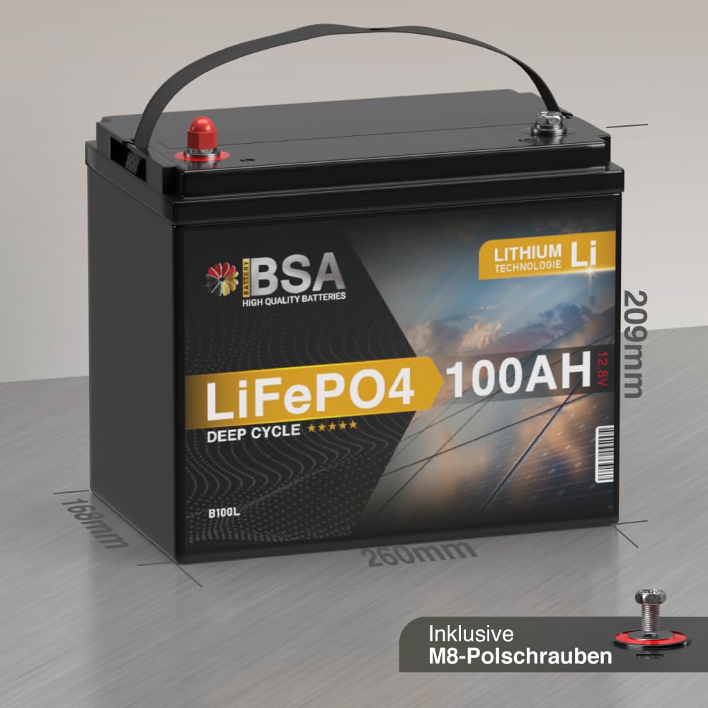 BSA LiFePO4 100Ah 12V Mini Lithium Batterie Wohnmobil Solarbatterie Solar