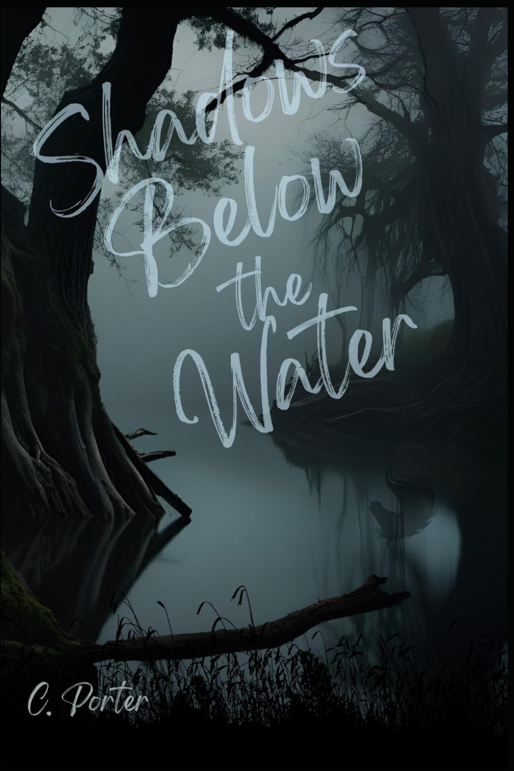Shadows Below the Water