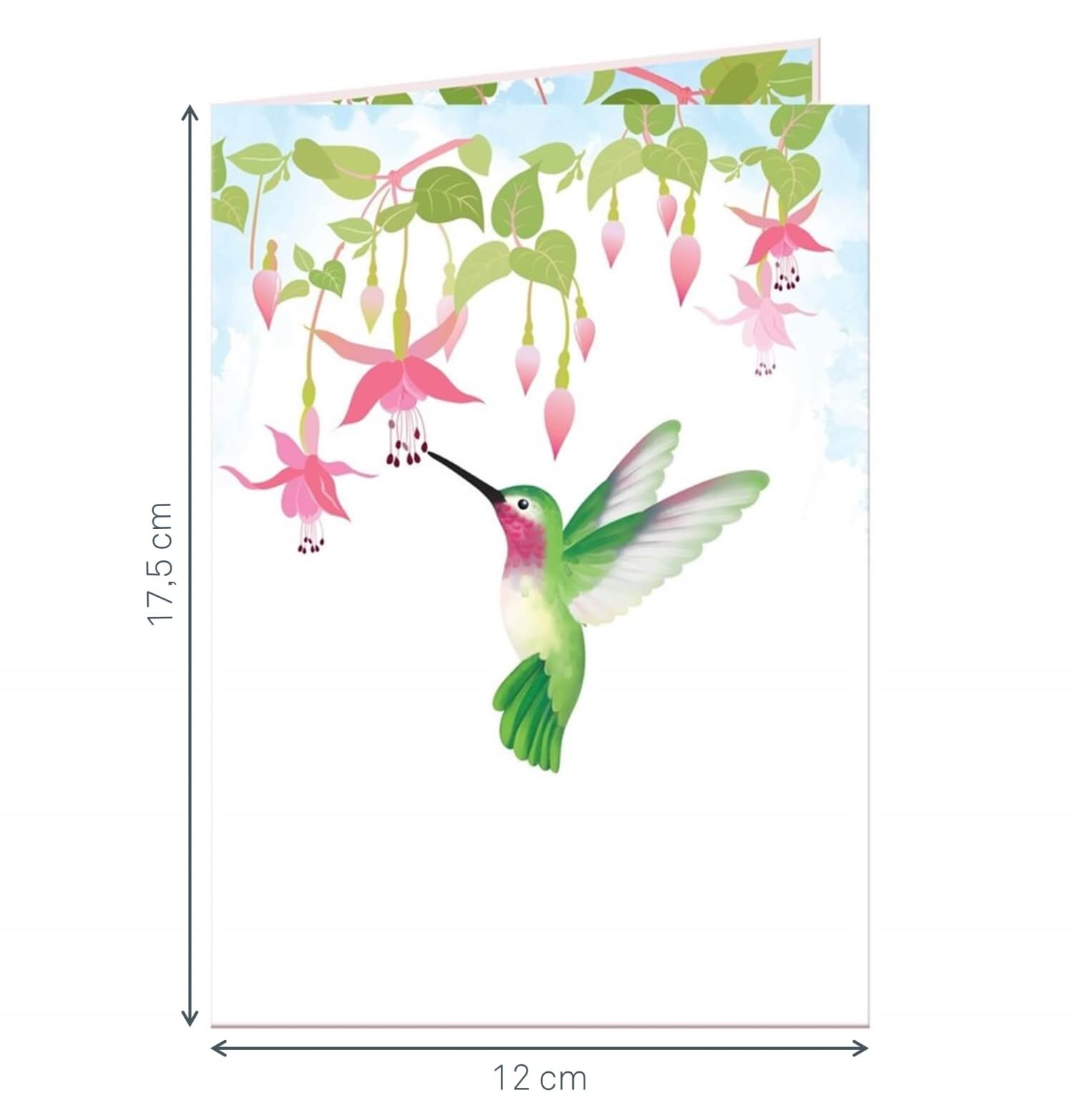 Biglietto Pop-up 3D Cardology Con Colibrì – Fatto A Mano Di Lusso – 15x20 Cm – Per Compleanno, Festa Mamma, San Valentino, Guarisci Presto – Spazio Per Messaggio Personale