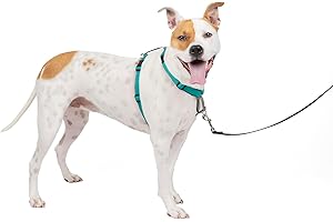 Rover Gear Better Walk No-Pull Dog Harness: Enhanced Solution for Dog Control