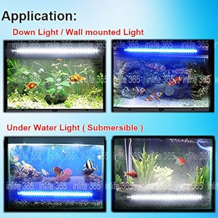 fish led light