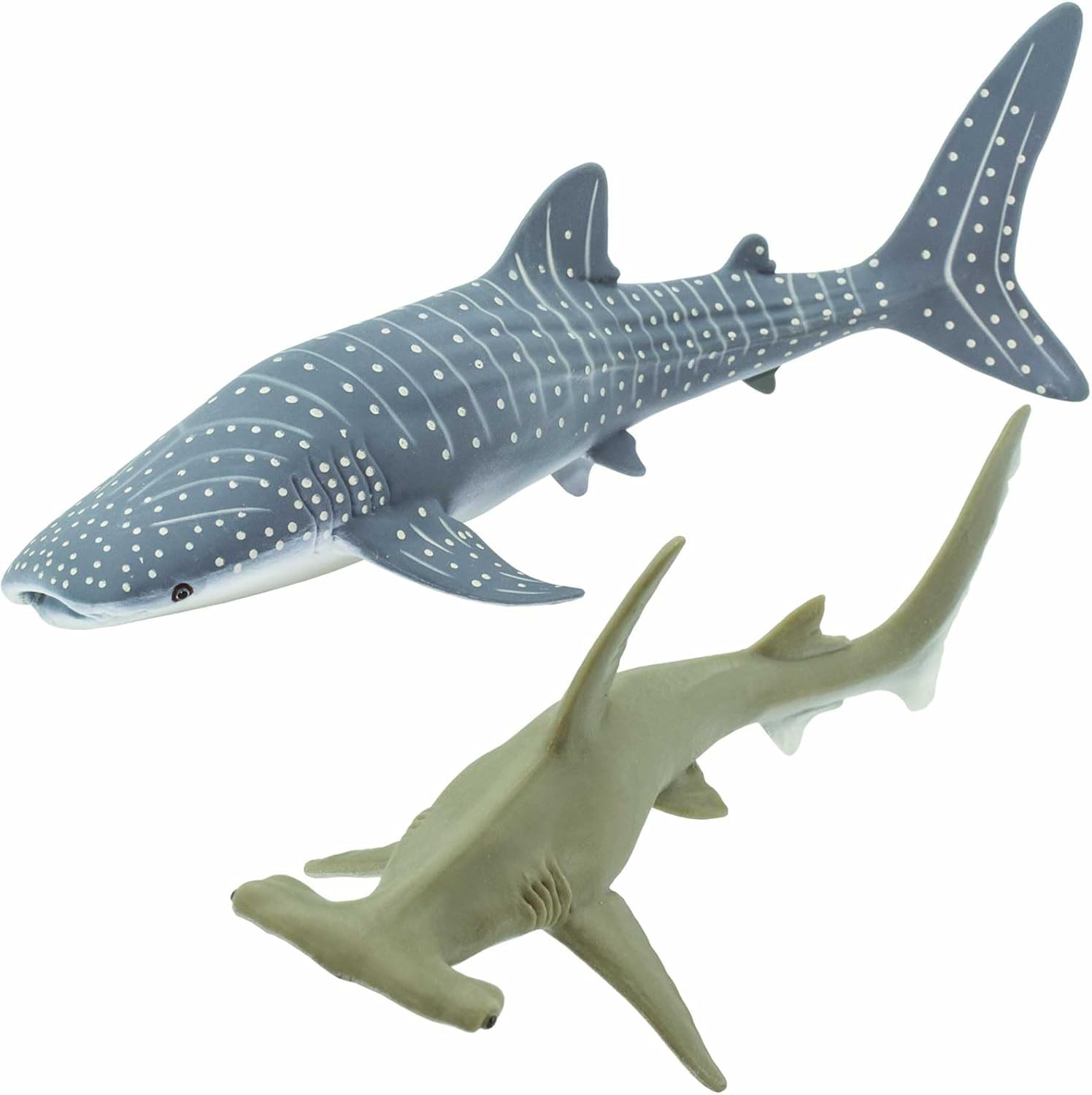 Safari Ltd. Shark Toy Set - Figurines of Great White, Tiger, Whale Shark, Hammerhead, and Mako - Play Set for Boys, Girls & Kids 3+ - Image 5