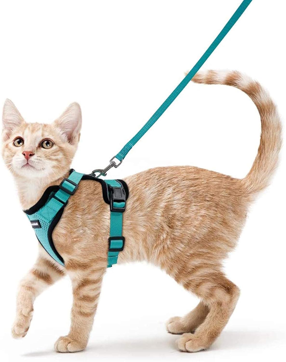 rabbitgoo cat harness and leash for walking, escape proof soft adjustable vest harnesses for cats, easy control breathable reflective strips jacket, emerald, s s emerald