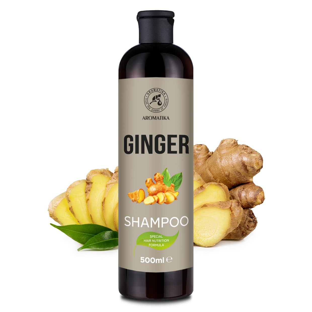 Ginger Shampoo 500ml, Shampoo with Ginger Essential Oil, Moisturising and Nourishing Shampoo, Hair Gloss - Image 2