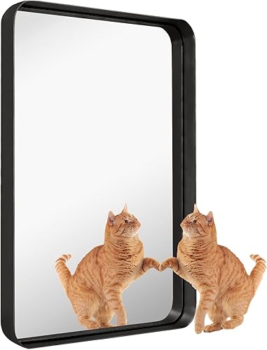 Miniatura 8 de Espejo de pared rectangular de 26 x 32 pulgadas, espejo con marco de metal negro, diseño moderno para baño, entrada y sala de estar, se cuelga