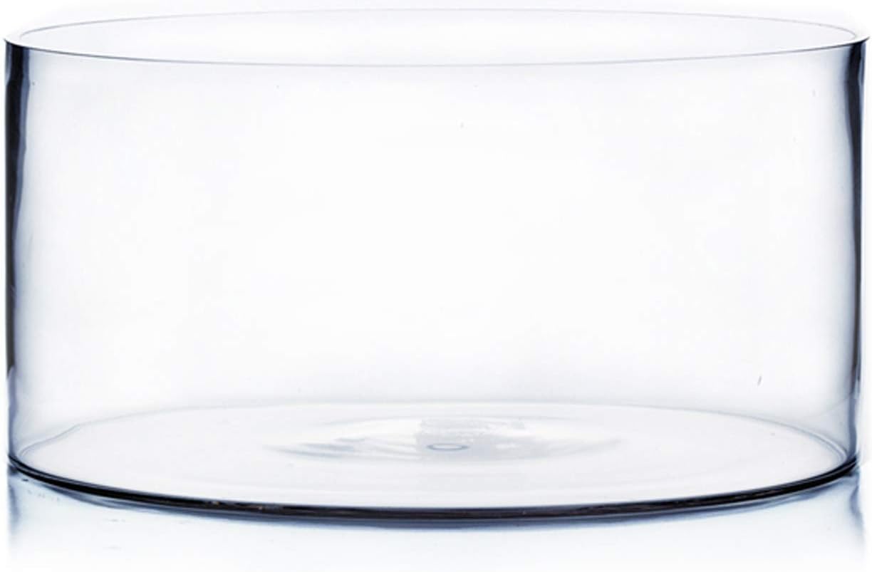 WGV Cylinder Vase, Open Width 12", Height 6", Clear Flat Pan Style Container, Planter Terrarium, Floral Centerpiece for Wedding Party Event, Home Office Decor, 1 Piece
