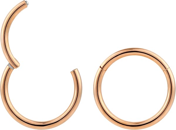 365 Sleepers - Par de pendientes de aro de titanio con cierre de bisagra, calibre 16, pirsin corporal, 5 mm, 6 mm, 7 mm, 8 mm, 9 mm, 10 mm, 11 mm, 12 mm, 13 mm, 14 mm, 16 mm - 1
